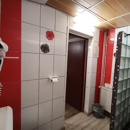 Pensiunea Johanna Arad Luaran gambar
