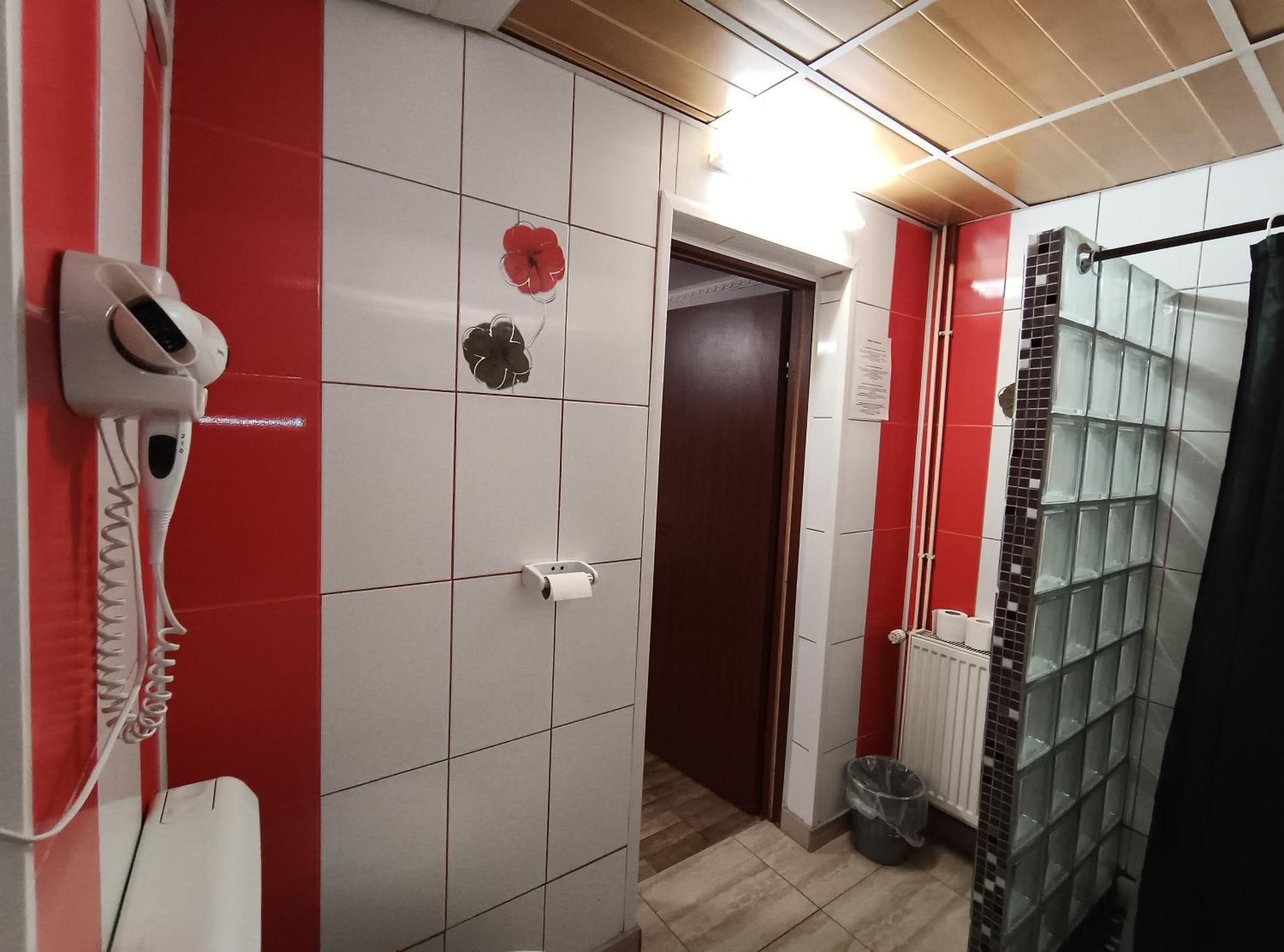 Pensiunea Johanna Arad Luaran gambar